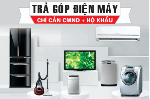 mua tra go dien may 365