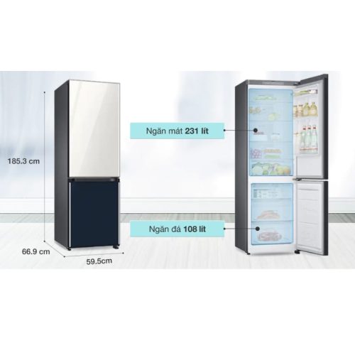 Kích thước tủ lạnh Samsung Inverter 339 lít RB33T307029/SV